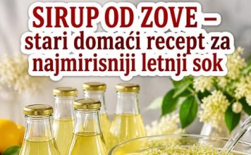 SIRUP OD ZOVE – stari domaći recept za najmirisniji letnji sok