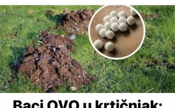 Baci OVO u krtičnjak: Krtice više neće ulaziti u tvoj vrt!