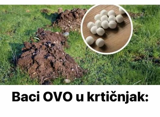 Baci OVO u krtičnjak: Krtice više neće ulaziti u tvoj vrt!