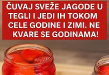 Čuvaj sveže jagode u tegli i jedi ih tokom cele godine i zimi. Ne kvare se godinama!
