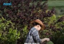Ovo je najopasniji cvijet na svijetu, a mnogi ga imaju u vrtu: Odmah provjerite i riješite ga se