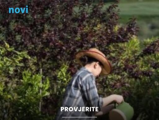 Ovo je najopasniji cvijet na svijetu, a mnogi ga imaju u vrtu: Odmah provjerite i riješite ga se