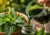SIRUP OD KOPRIVE: Dokazano NAJBOLJI LIJEK za čišćenje krvi…