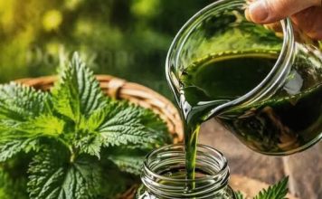 SIRUP OD KOPRIVE: Dokazano NAJBOLJI LIJEK za čišćenje krvi…