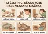 12 ČESTIH GREŠAKA KOJE RADE VLASNICI MAČAKA