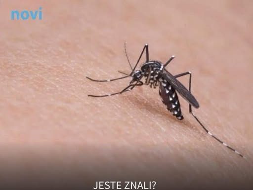 Koju krvnu grupu najviše “vole” komarci?