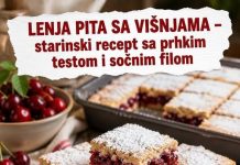 LENJA PITA SA VIŠNJAMA – starinski recept sa prhkim testom i sočnim filom