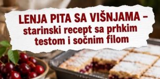 LENJA PITA SA VIŠNJAMA – starinski recept sa prhkim testom i sočnim filom
