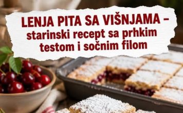 LENJA PITA SA VIŠNJAMA – starinski recept sa prhkim testom i sočnim filom