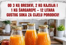 Od 3 kg breskvi, 2 kg kajsija i 1 kg šargarepe – 12 litara gustog soka za cijelu porodicu!