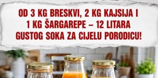 Od 3 kg breskvi, 2 kg kajsija i 1 kg šargarepe – 12 litara gustog soka za cijelu porodicu!