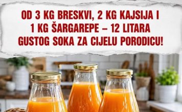 Od 3 kg breskvi, 2 kg kajsija i 1 kg šargarepe – 12 litara gustog soka za cijelu porodicu!