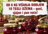 OD 6 KG VIŠANJA DOBIJEM 10 TEGLI DŽEMA – gust, sjajan i pun voća!
