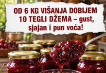 OD 6 KG VIŠANJA DOBIJEM 10 TEGLI DŽEMA – gust, sjajan i pun voća!