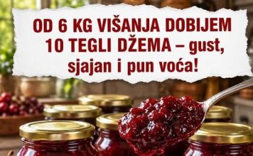 OD 6 KG VIŠANJA DOBIJEM 10 TEGLI DŽEMA – gust, sjajan i pun voća!