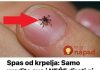 Spas od krpelja: Samo uradite ovo i NEĆE dirati ni vas ni vašeg psa + savjet kako da ih izbacite iz vašeg dvorišta!