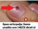 Spas od krpelja: Samo uradite ovo i NEĆE dirati ni vas ni vašeg psa + savjet kako da ih izbacite iz vašeg dvorišta!