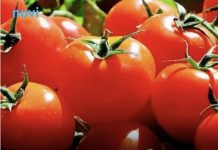 Trik od pet sekundi otkriva koji je pravi paradajz, a koji “plastični”
