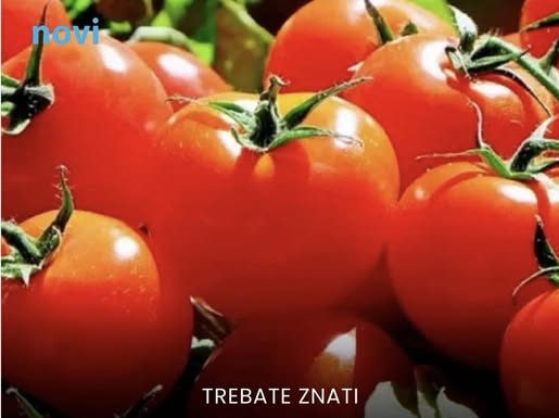 Trik od pet sekundi otkriva koji je pravi paradajz, a koji “plastični”