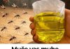 Muče vas muhe, komarci i insekti? Evo trika koji ih uklanja bez da potrošite ijednu marku!