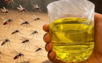 Muče vas muhe, komarci i insekti? Evo trika koji ih uklanja bez da potrošite ijednu marku!