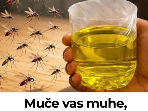 Muče vas muhe, komarci i insekti? Evo trika koji ih uklanja bez da potrošite ijednu marku!