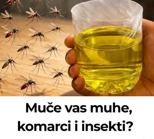 Muče vas muhe, komarci i insekti? Evo trika koji ih uklanja bez da potrošite ijednu marku!