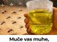 Muče vas muhe, komarci i insekti? Evo trika koji ih uklanja bez da potrošite ijednu marku!
