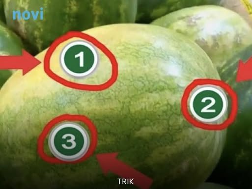 Evo kako prepoznati zrelu lubenicu