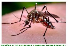 POČELA JE SEZONA UBODA KOMARACA: Uzmite ovaj vitamin budite mirni cijelo ljeto!