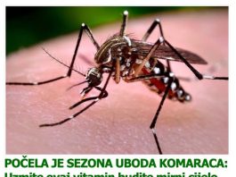 POČELA JE SEZONA UBODA KOMARACA: Uzmite ovaj vitamin budite mirni cijelo ljeto!