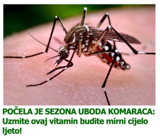 POČELA JE SEZONA UBODA KOMARACA: Uzmite ovaj vitamin budite mirni cijelo ljeto!
