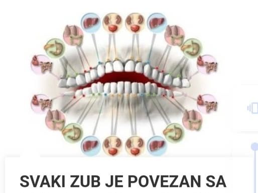 Svaki Zub Je Povezan Sa Nekim Organom U Tijelu: Bol U Zubu Predviđa Probleme Pojedinog Organa!