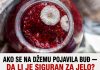 AKO SE NA DŽEMU POJAVILA BUĐ — DA LI JE SIGURAN ZA JELO? Odgovor bi vas mogao šokirati!