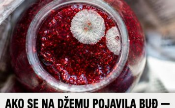 AKO SE NA DŽEMU POJAVILA BUĐ — DA LI JE SIGURAN ZA JELO? Odgovor bi vas mogao šokirati!