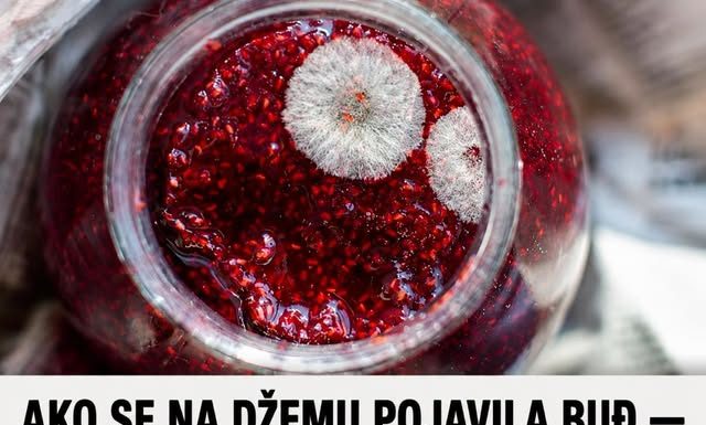 AKO SE NA DŽEMU POJAVILA BUĐ — DA LI JE SIGURAN ZA JELO? Odgovor bi vas mogao šokirati!