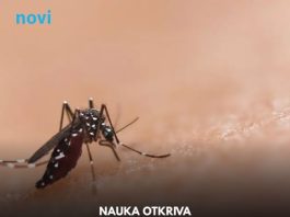Zašto komarci grizu baš vas, a ne osobu pored: Nauka otkrila 27 okidača na koži