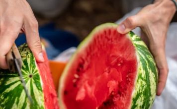 Da li lubenica goji? Pravi odgovor koji stavlja tačku na ovo pitanje jednom za svagda