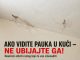 AKO VIDITE PAUKA U KUĆI — NE UBIJAJTE GA! Naučnici otkrili razlog koji će vas iznenaditi