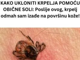 KAKO UKLONITI KRPELJA POMOĆU OBIČNE SOLI: Poslije ovog, krpelj odmah sam izađe na površinu kože!