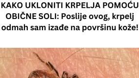 KAKO UKLONITI KRPELJA POMOĆU OBIČNE SOLI: Poslije ovog, krpelj odmah sam izađe na površinu kože!
