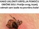 KAKO UKLONITI KRPELJA POMOĆU OBIČNE SOLI: Poslije ovog, krpelj odmah sam izađe na površinu kože!