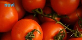 Obavezno izbacite paradajz iz ishrane ako patite od ovih bolesti