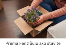 Prema Feng Šuiu ako stavite lavandu na ovo mesto u kući sva negativna energija nestaje kao rukom odnešena