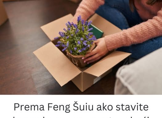 Prema Feng Šuiu ako stavite lavandu na ovo mesto u kući sva negativna energija nestaje kao rukom odnešena