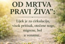 MOĆNA TRAVA IVA – “OD MRTVOG PRAVI ŽIVA”