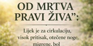 MOĆNA TRAVA IVA – “OD MRTVOG PRAVI ŽIVA”