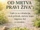 MOĆNA TRAVA IVA – “OD MRTVOG PRAVI ŽIVA”