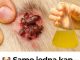 Samo jedna kap – i buhe, krpelji i grinje nestaju! Najjače prirodno rješenje