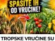 TROPSKE VRUĆINE SU STIGLE! 4 OBAVEZNA KORAKA da ODMAH spasite paradajz i paprike!